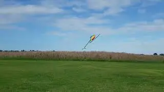 Dunkan bossion TDRII Rebels fun fly 2022