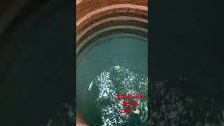 Our new well