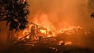 Global Wildfires Intensify Due to Climate Change