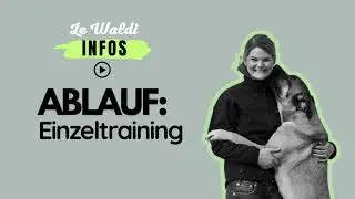 Wichtiges zu Einzeltraining & Verhaltensberatung