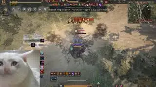 BDO - Ninja vs Kuno duel