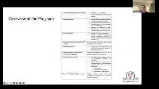 SABILA Network pilot mentorship programme brief.