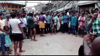 Paluru