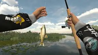 Fishing Planet - Como pescar Acara&ccedil;u na Florida