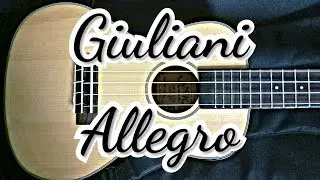 Fast playing ukulele | Быстрая игра на укулеле (Giuliani - Allegro)