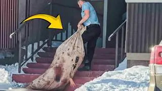 Real Life Shocking Moments Caught on CCTV &ndash; You Won&rsquo;t Believe What Happened..!!
