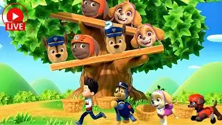 🔴 FULL Mario Party Superstars Minigames Showdown – Ryder vs Skye vs Chase vs Zuma