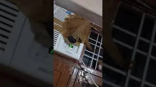 Beer cooling without fridge refrigerator Awesome beer trick, trick to cool your beer, beer thandi