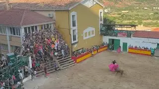 Toros Bogarra 2025