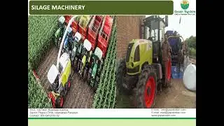 Best Fodder For Sustainable Farming | Growing Fodder Farm | Fodder for Export By Emirates Foods UAE