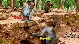 David looks at pity face of little brother Dustin, How sad life after Diamon has gone