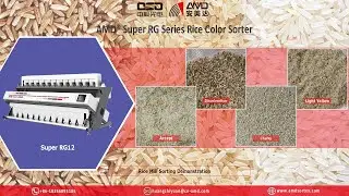 AMD® Super RG12 Optical Rice Color Sorter/Sortex Machine Price for Yellowed/Chalky Rice Sorting