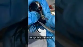 Fix Apple Watch button