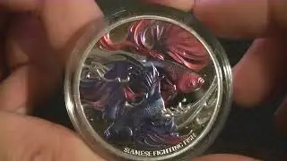Coin review - Niue 2024 SIAMESE FIGHTING FISH Red Blue Betta $1 1 Oz Pure Silver Proof
