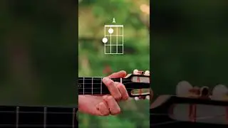 How To Play 