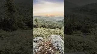 natural photo transitions.#alanwalker #nature #transition #alam #forest