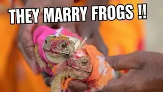 Strange Indian Traditions You Were Never Told About - india Facts Story Time