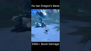 Hu tao 250k Burst Damage with Dragon's Bane