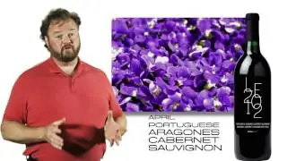 6 - Portuguese Aragones Cab Sauv.mp4