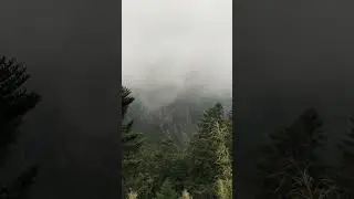 Misty Forest at Yushan #3 &ndash; Calming Nature Sounds with Ambient Music #nature