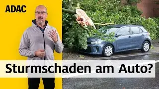 Auto kaputt nach einem Sturm: Wer zahlt bei Sturmschäden? | ADAC | Recht? Logisch!