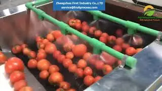 Tomato Processing Machines  washing grading machine, tomato processing machine