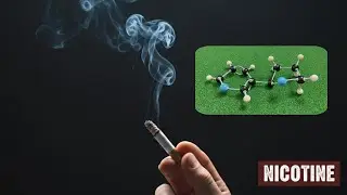 How to Build Nicotine Using Molymod | Understanding Nitrogen in Molecules