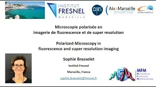 Microscopie polaris&eacute;e en imagerie de fluorescence et de super r&eacute;solution
