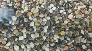 China Mixed Polished pebbles#gardendesign#rock#stone#polished pebbles#china pebbles#blackpebbles