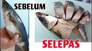 Cara Siang Ikan Sardin