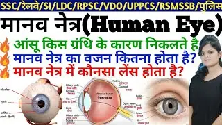 Human eye Important questions | मानव नेत्र महत्वपूर्ण प्रश्न | General Science | Science Gk in hindi