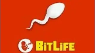 Bit Life 1часть примерный гражданин