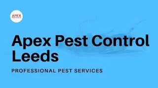 Pest Control Leeds | Apex Pest Control Leeds West Yorkshire UK