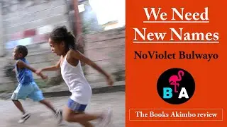 We Need New Names book review