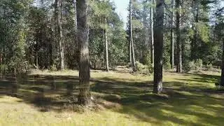 19654 Eagle Ridge Rd  Foresthill, CA**