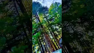 #nature#mountains#beautiful#landscape#hindisongs#views#river#sea#forest#horizon#bollywoodsongs