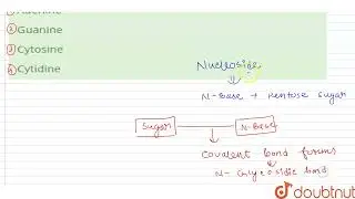An example for N-glycoside is  | 12 | PROTEINS AND NUCLEIC ACIDS  | CHEMISTRY | AAKASH SERIES | ...