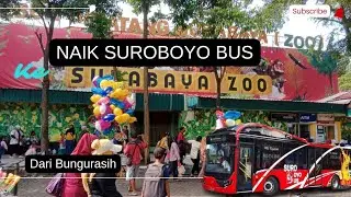 Cara Naik dan Beli Tiket Suroboyo Bus dari Bungurasih ke Kebun Binatang Surabaya. Turun di Joyoboyo