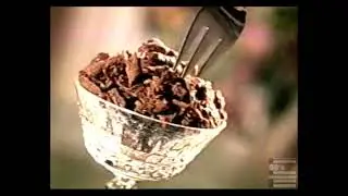 Fancy Feast good taste commercial 2003