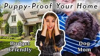 Puppy-Proof Your Home | Easy & Budget Friendly Solutions