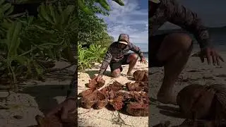 Beachside Cooking  Grilled Fish Recipe! | #Camping #Outdoors #Wildcamping #Survival #Survivaltips