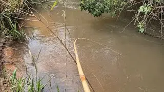 FOI FISGADA BRUTA PARA TODO LADO NESSE RIOZINHO, INACREDITÁVEL!!!