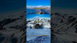 Winter Treks | Uttarakhand | Chandrashila | Dayara Bugyal | Kuari Pass #trek #chandrashila #dayara