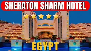 Обзор отеля Sheraton Sharm в Египте &mdash; роскошные номера, рестораны и пляжный отдых