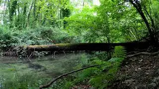 Relaxing Ambient Low Rhythmic Drones for Pondering Thoughts (4k)