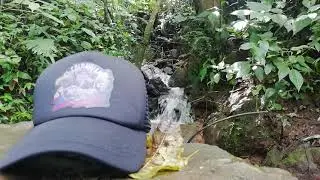 Colombia Trekking 🇨🇴 inside a forest.
