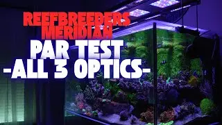 Можно ли одним светом справиться с SPS, LPS и Softies? Результаты теста Meridian!