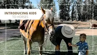 Introducing Kids to Horses