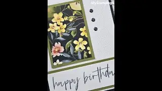 Spotlight: 6 x 6 One Sheet Wonder Class #2