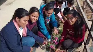 NSS Activities By Shreenath College Students